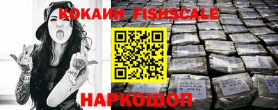 спиды Кингисепп