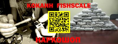 спиды Кингисепп