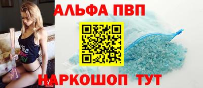 спиды Кингисепп
