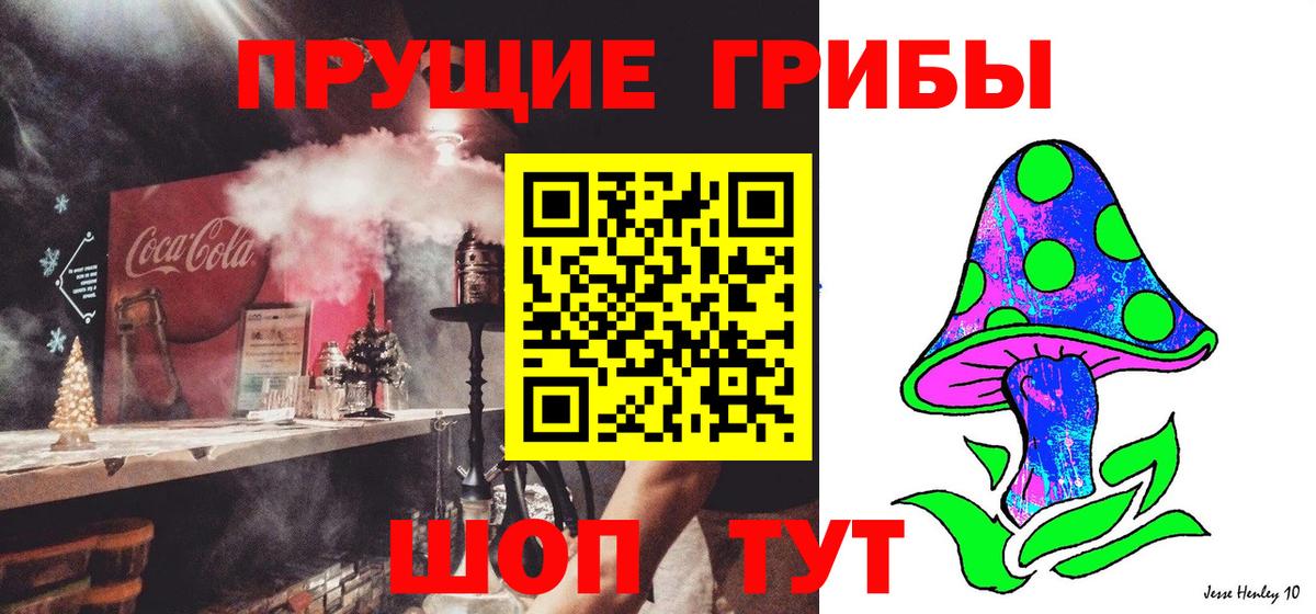 Псилоцибиновые грибы GOLDEN TEACHER Котельники