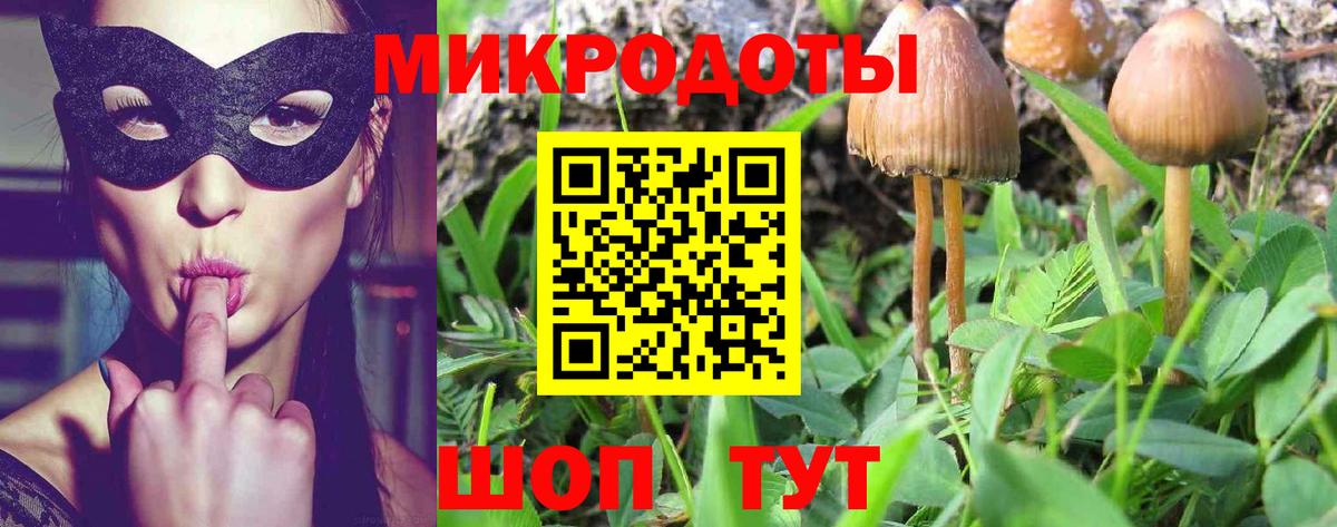 Псилоцибиновые грибы MAGIC MUSHROOMS  Псилоцибиновые грибы Magic Shrooms  Вход с VPN  Котельники 