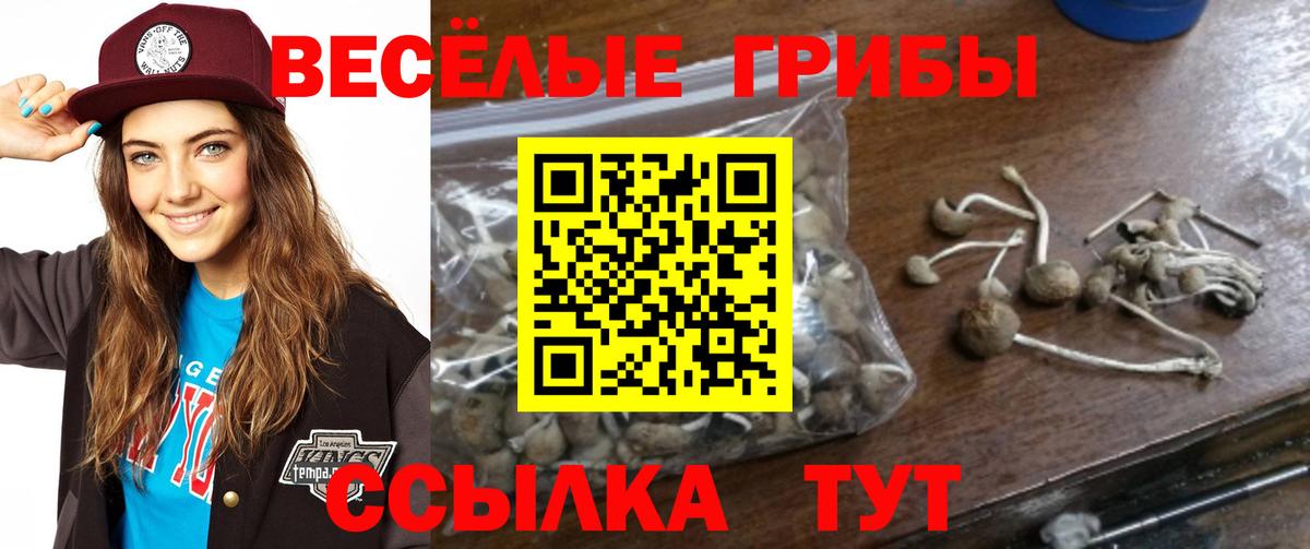 ГАШ  Марихуана  Cocaine  Вейп ТГК  Котельники  Лсд 25  MDMA  Вход с VPN  Меф кристаллы 